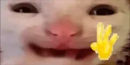 hii